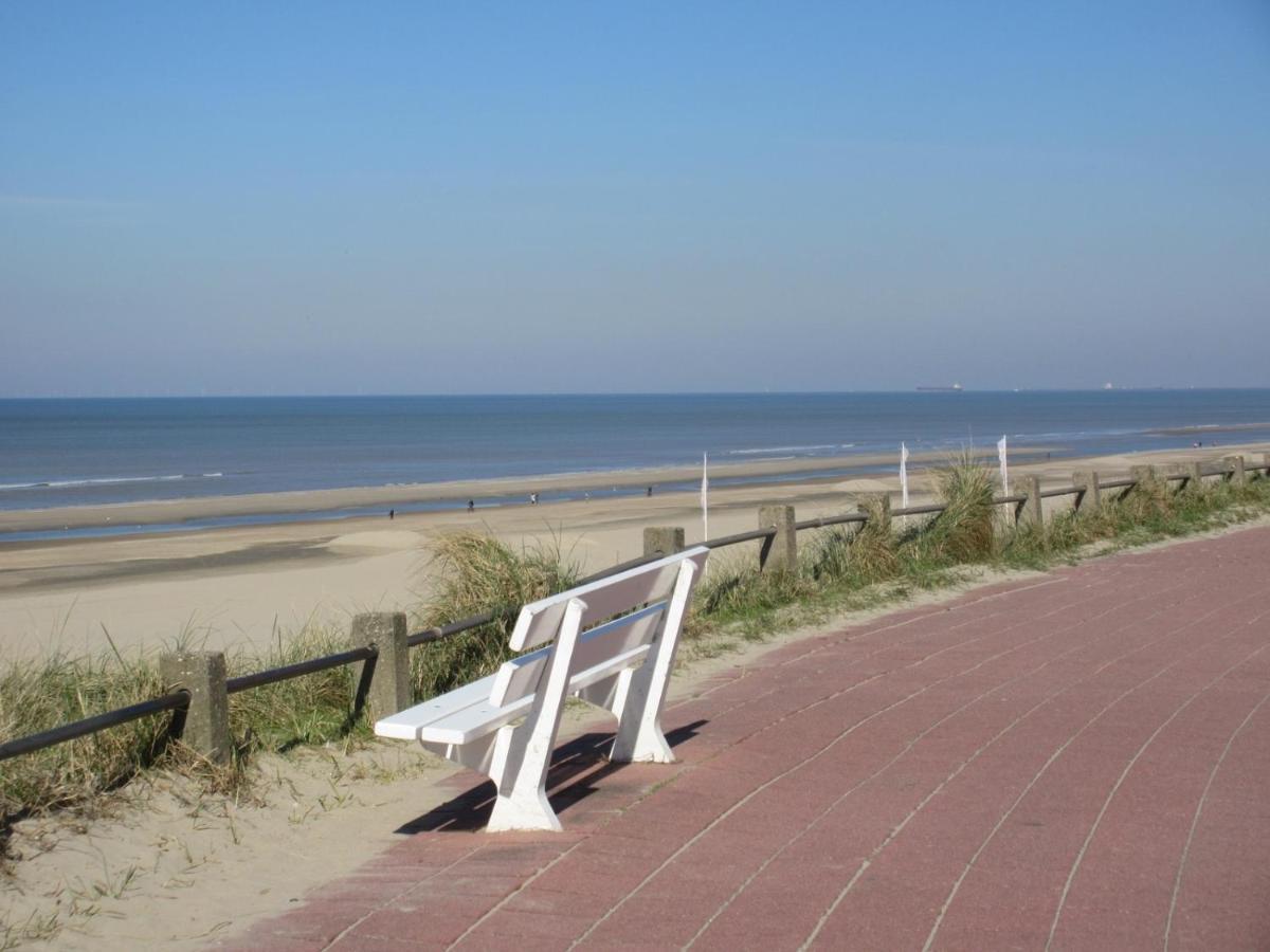 Het Krabbehuisje ซานด์โวร์ต ภายนอก รูปภาพ